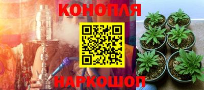 гидропоника Канаш